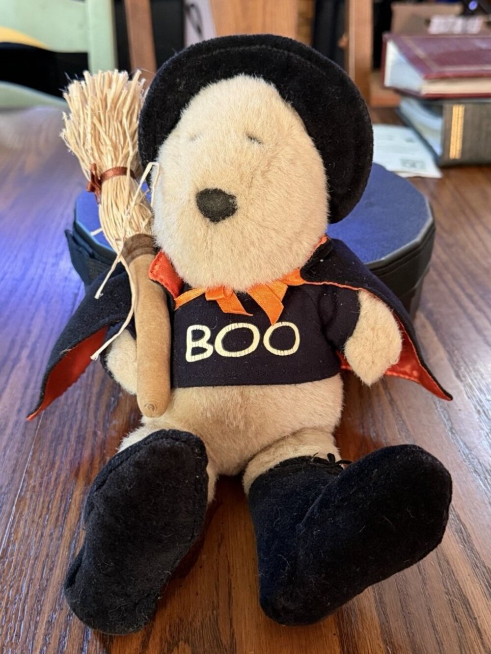 VNTG Starbucks Bearista Bear 11th Edition Halloween BOO Witch Plush Teddy Bear